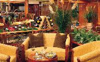 Norwegian Sky - Plantation Club Norwegian Sky - Plantation Club