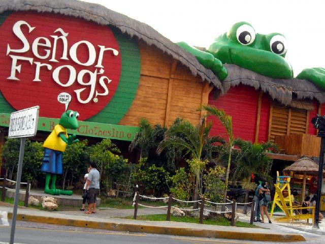 Spring Break Senor Frogs - Cancun, Mexico Spring Break Senor Frogs - Cancun, Mexico