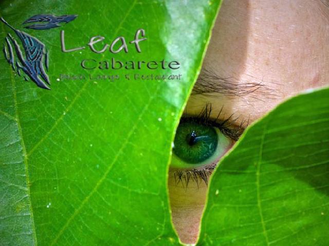 Leaf Cabarete - Puerto Plata, Dominican Republic Leaf Cabarete - Puerto Plata, Dominican Republic
