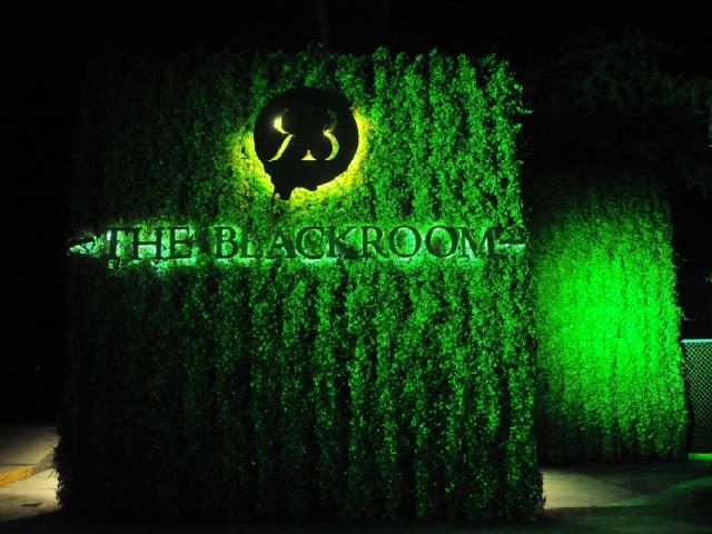 Spring Break The Black Room - Puerto Vallarta, Mexico Spring Break The Black Room - Puerto Vallarta, Mexico